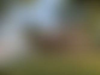 Projeto de padaria reflete seu processo artesanal de produção em proposta assinada por BLOCO Arquitetos