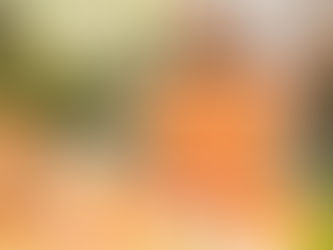 Atlantica Hospitality International firma parceria com Food To Save para o combate ao desperdício de alimentos