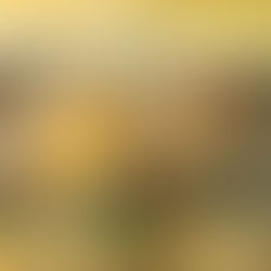 Exposição em homenagem às mulheres abre a nova temporada de artes do CTJ Hall