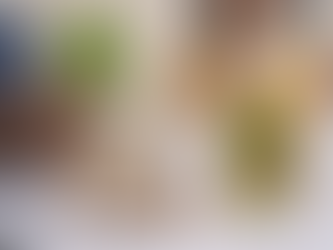 O que procurar em um imóvel para uma vida mais sustentável e econômica?