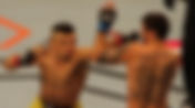 UFC desembarca em Brasília em março de 2020