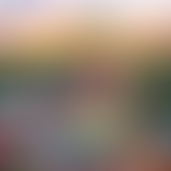 Nicolândia terá entrada gratuita no sábado para promover natal solidário para crianças do DF