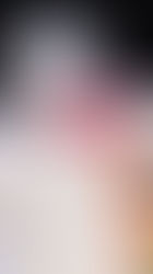 “Natal do Urso Polar” encanta o público com aventura sobre amizade e o verdadeiro espírito natalino