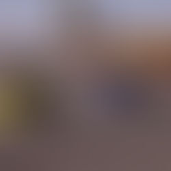 Final de temporada: Brasília Kart Series acelera no Guará com 7ª e 8ª etapas do campeonato