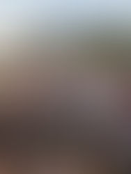 Granfolia 2026 reúne blocos tradicionais do DF em dois dias de Carnaval na Esplanada