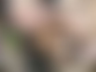 Boulevard Shopping recebe ação educativa com DER e feira de adoção