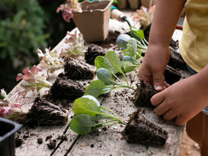 Um fim de semana para ler, cantar e cuidar da natureza no Boulevard Shopping Brasília