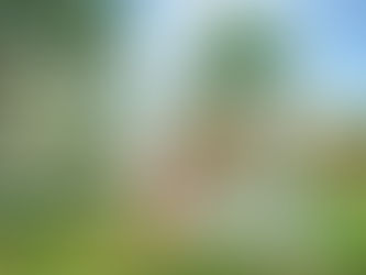 Paranoá celebra 67 anos com programação cultural gratuita neste fim de semana