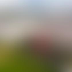 Pelo segundo ano consecutivo, Docile está entre as 100 maiores empresas de doces do mundo