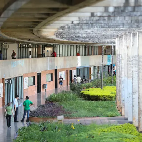 UnB abre inscrições para Vestibular 2026 com mais de 2 mil vagas; especialista dá dicas para os candidatos