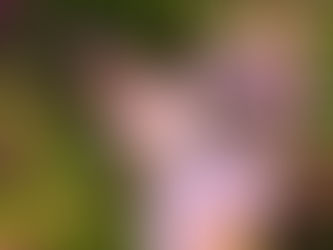 Iguatemi Talks Fashion com Franciny Ehlke, Adam Mitch e Vic Ceridono