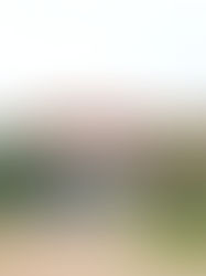 Escola Eleva abre inscrições para bolsas de estudo integrais pelo Programa Nsouli