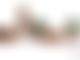 Galeria das Lonas apresenta Linha Marumbi