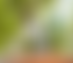 Natura Ekos relança linha de Andiroba com foco no bem-estar e poder anticansaço