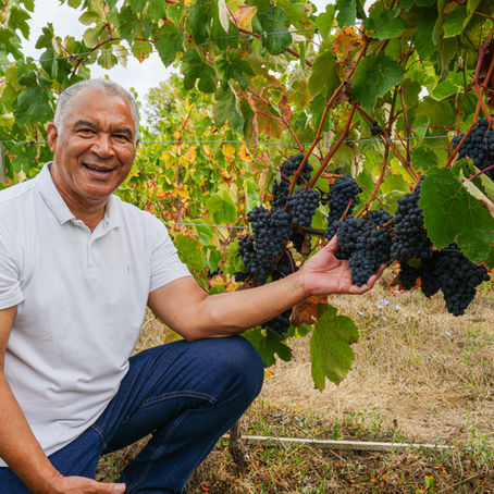 Sabores do Enoturismo estreia em Brasília com vinhos portugueses premiados e programação cultural imperdível