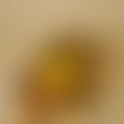 Reta final do Comida di Buteco 2026 convoca público a escolher o melhor buteco