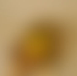 Reta final do Comida di Buteco 2026 convoca público a escolher o melhor buteco