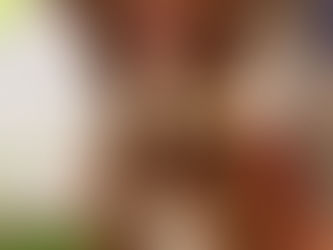 Venâncio Shopping promove adoção responsável de cães e gatos