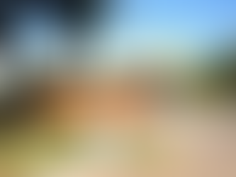 Zoológico de Brasília celebra 68 anos com programação especial e entrada gratuita