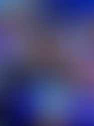 Distrito Federal inicia a semana com 554 vagas de estágio abertas pelo CIEE