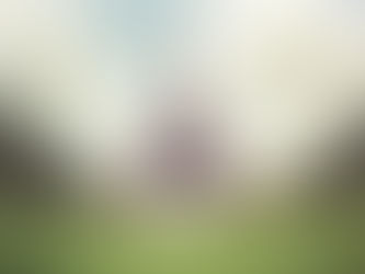 Olimpíadas 2024: veja quem são os atletas do Brasil e do mundo favoritos à medalha