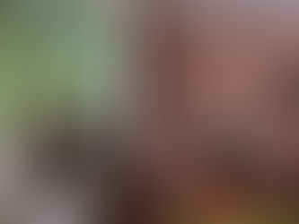 Casa Vogue mostra o estilo moderno-divertido que marca o décor do lar da influencer Anna Fasano