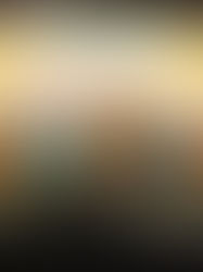 Bailinho do Terraço 2026 terá dois dias de festa e aposta em programação para crianças e adultos