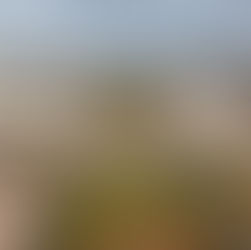 Livro sobre Eixo Monumental será lançado em Brasília com novos olhares sobre a capital