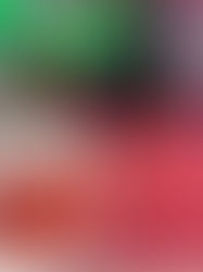 Pan-Americano Sub-13 revela ascensão do judoca brasiliense Gabriel Kitamura