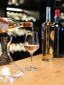 Punta Wine Trips transforma Punta del Este em polo de enoturismo na América do Sul