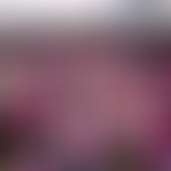 Corrida Circuito da Mulher reúne mais de 10 mil pessoas e encerra o Mês da Mulher com sucesso