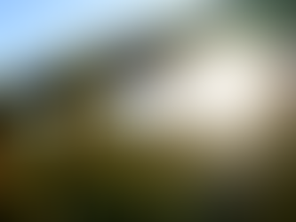 Soluções biológicas da Biosphera serão apresentadas na AgroBrasília 2024