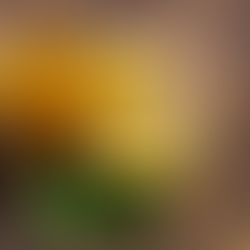 Maracujá: a fruta tropical que conquistou a cozinha nikkei