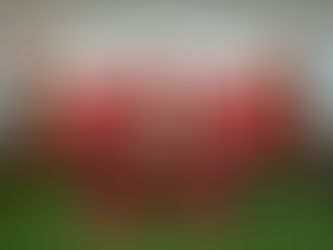 Taguatinga Shopping promove encontro de crianças com TEA com o @eusounoel