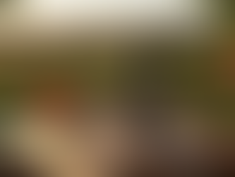 Portugal e Brasil à mesa: uma celebração de sabores e cultura