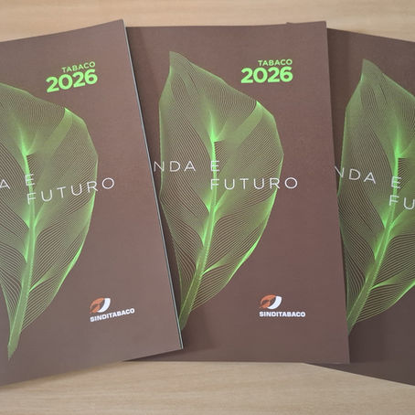 Tabaco 2026: Renda e futuro