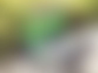 Brasília ganha mais um serviço de compartilhamento de patinetes