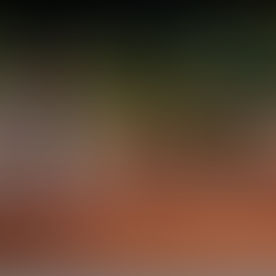 Onde a Vida Encontra Inspiração: Narrativas que se Cultivam no Tempo