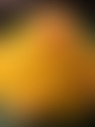 Vittoria d’Italia celebra 12 anos de autenticidade veneziana no coração de Brasília