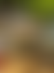 Tivoli Mofarrej e Lindt unem sabores tropicais e menu autoral em Brunch de Verão por tempo limitado