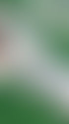 MASP promove programação de verão no Vão Livre