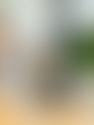 Concentração e equilíbrio emocional: o segredo para um bom desempenho no Enem