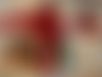 Casapark apresenta a Mostra de Vitrines Decoradas de Natal