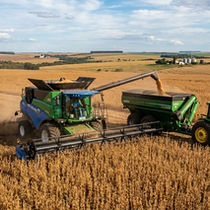 STF derruba cobrança bilionária do Funrural e decisão pode beneficiar produtores rurais e frigoríficos