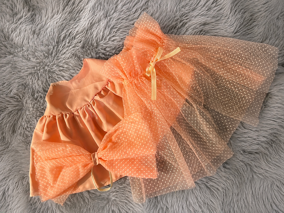 Thumbnail: Blush & Bows Porch Parade