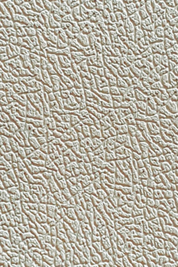 Leather Texture Desert Khaki