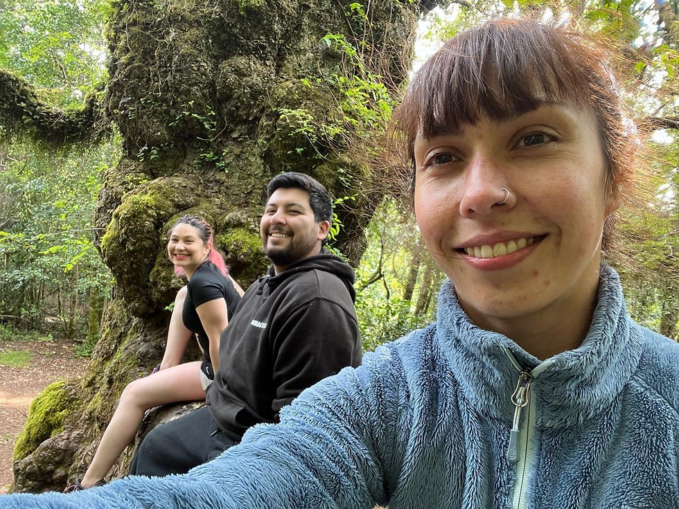 Baños de Bosque Valdivia