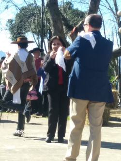 Pie de Cueca Jefe Daem y Directora