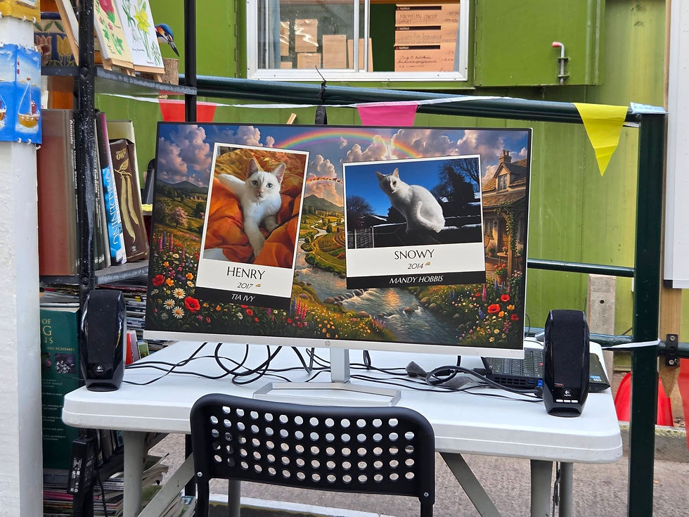 CatsMatter CoFounder's cats Snowy & Henry - both lost to the road