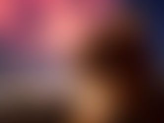 Petplan shares tips for keeping pets calm this fireworks season